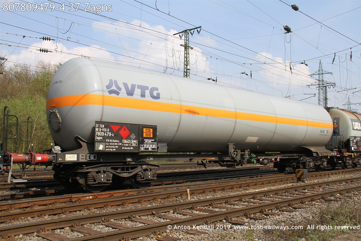 807809479-4_37 Zagns.JPG